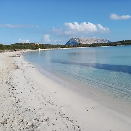 Vakantiehuis Cala Stefy *